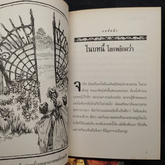 Boxset ตำนานสไปเดอร์วิก The Spiderwick Chronicles 5 เล่มจบ รูปที่ 9