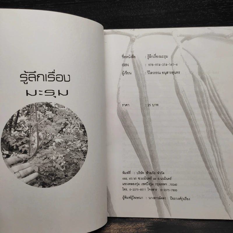 รู้ลึกเรื่องมะรุม - วิไลวรรณ อนุสารสุนทร รูปที่ 5