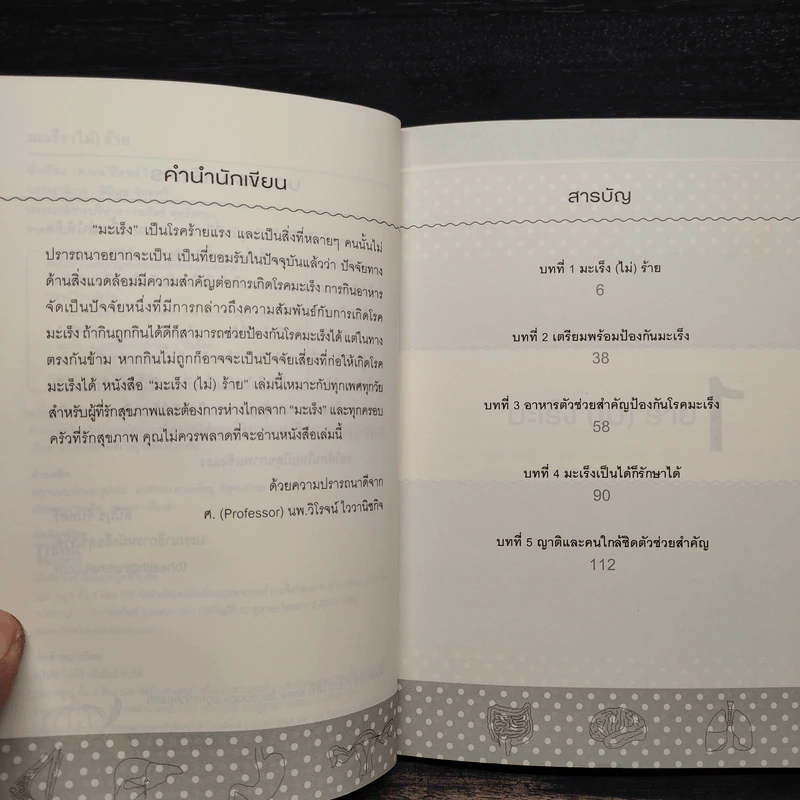 มะเร็ง (ไม่) ร้าย - วิโรจน์ ไววานิชกิจ รูปที่ 6