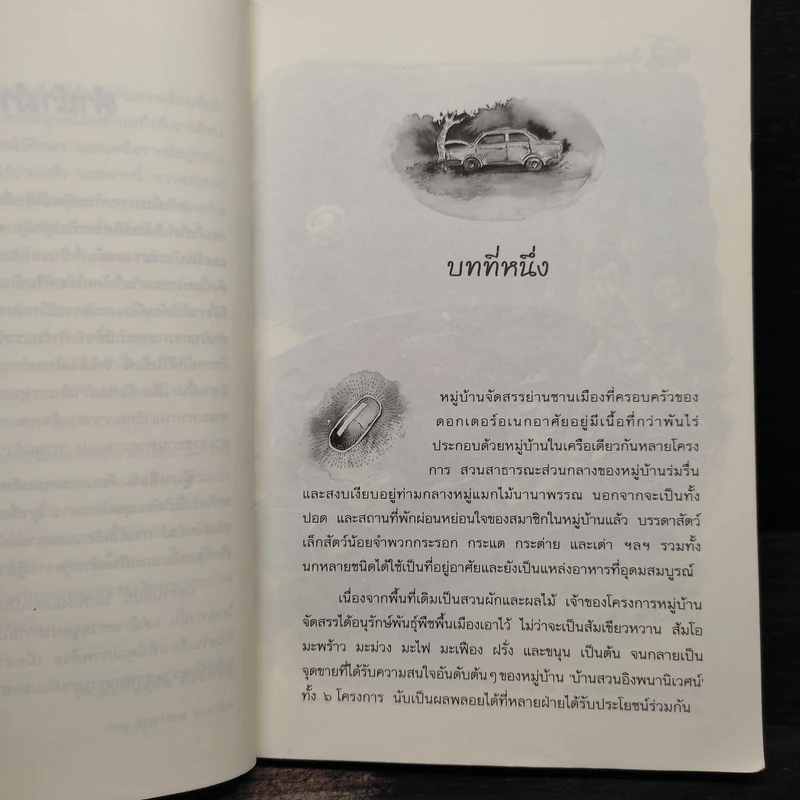 ผู้มาเยือน - กิ๊ตตี้ รูปที่ 6