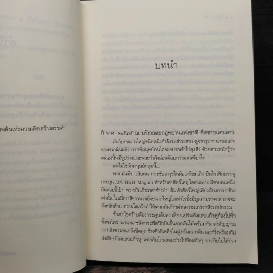 สิงสารารัก - เรณี รูปที่ 6