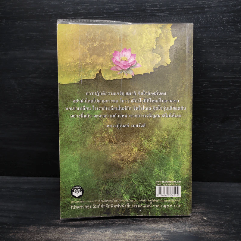 บริกรรมพุทโธ สมาธิรักษาโรค ขจัดภัย (หลวงปู่เทสก์ เทสรังสี) - หลวงปู่เทสก์ เทสรังสี รูปที่ 2