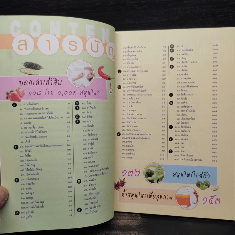108 โรค 1,009 สมุนไพร - ศักดิ์สิทธิ์ พันธุ์สัตย์ รูปที่ 6