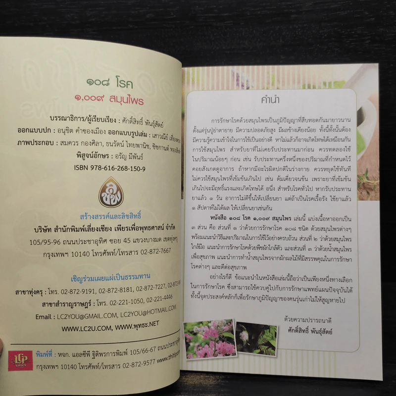 108 โรค 1,009 สมุนไพร - ศักดิ์สิทธิ์ พันธุ์สัตย์ รูปที่ 5