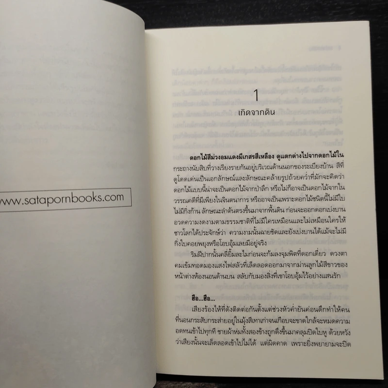 ระบำดอกดิน - จำปาลาว รูปที่ 6