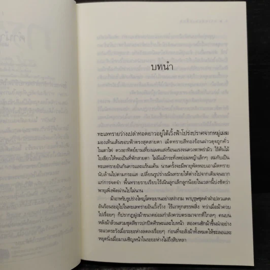 ทรายซ่อนเหลี่ยม - มุกเรียง รูปที่ 6