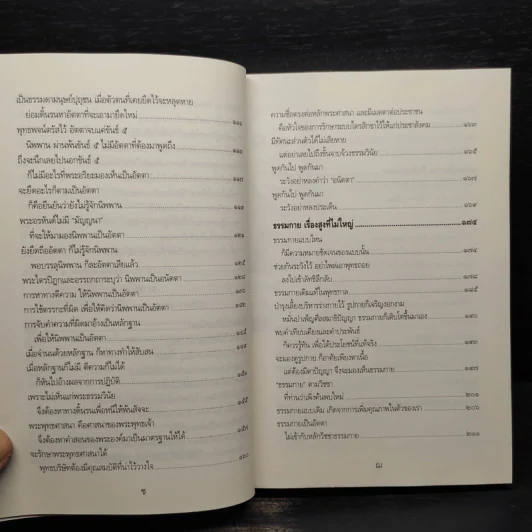 กรณีธรรมกาย - สมเด็จพระพุทธโฆษาจารย์ (ป.อ. ปยุตโต) รูปที่ 8