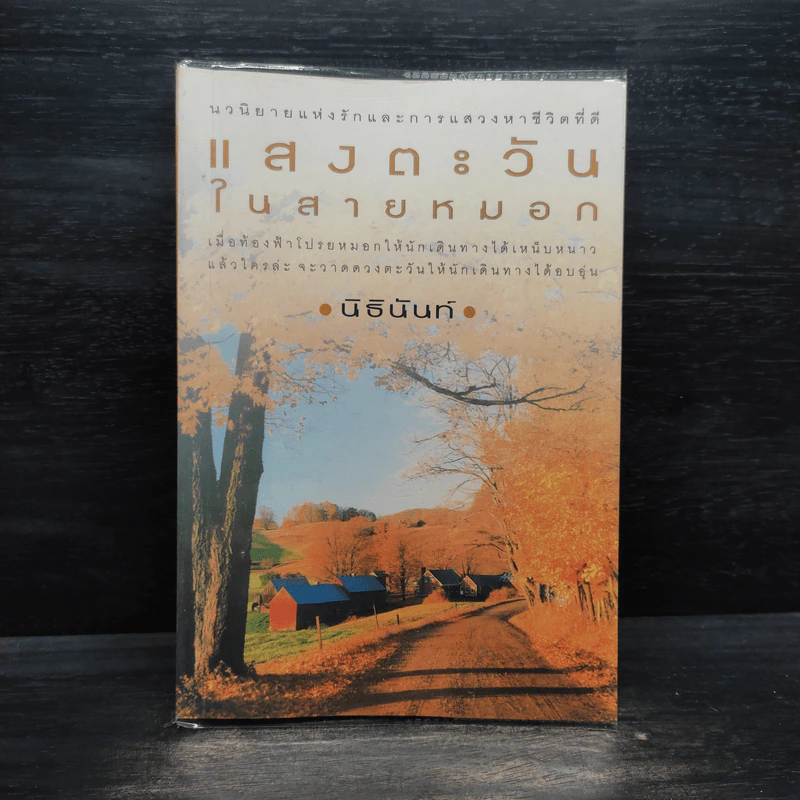 แสงตะวันในสายหมอก - นิธินันท์ รูปที่ 1
