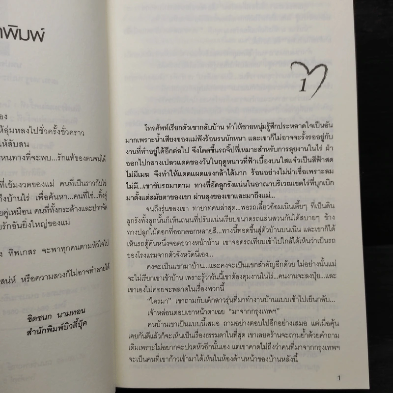 รักเล่ห์เสน่ห์ลวง - ทิพเกสร รูปที่ 6