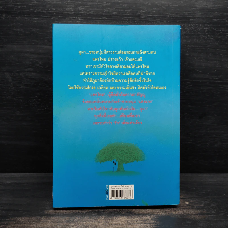 ภูผาแพรไหม - โสภี พรรณราย รูปที่ 2