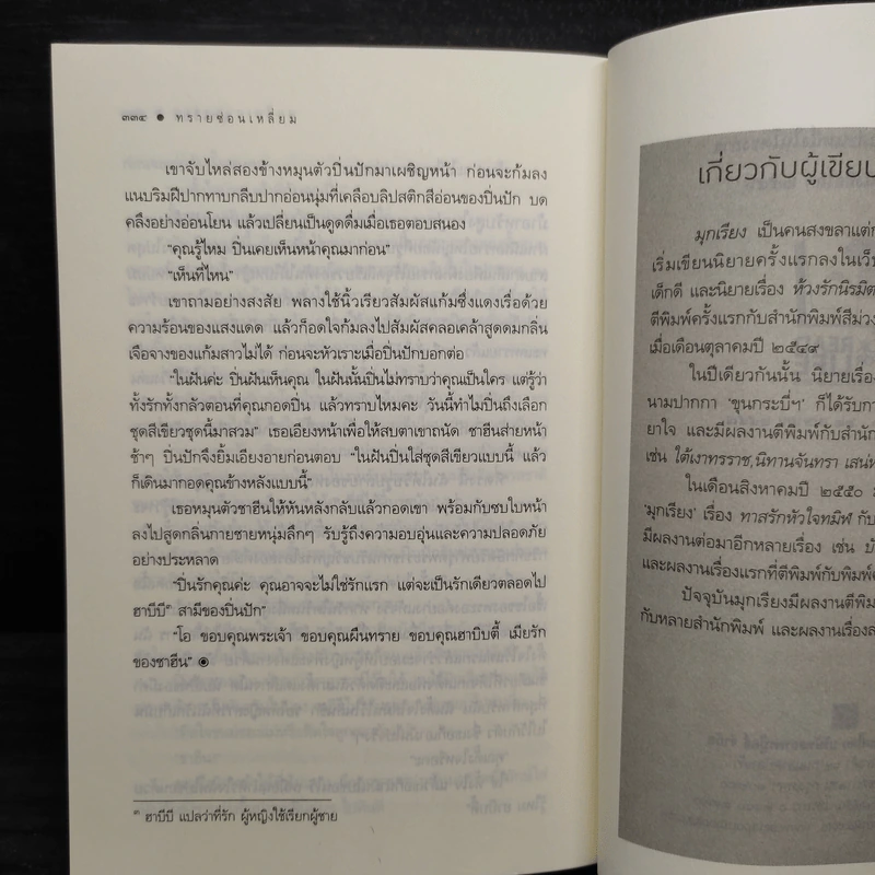 ทรายซ่อนเหลี่ยม - มุกเรียง รูปที่ 7