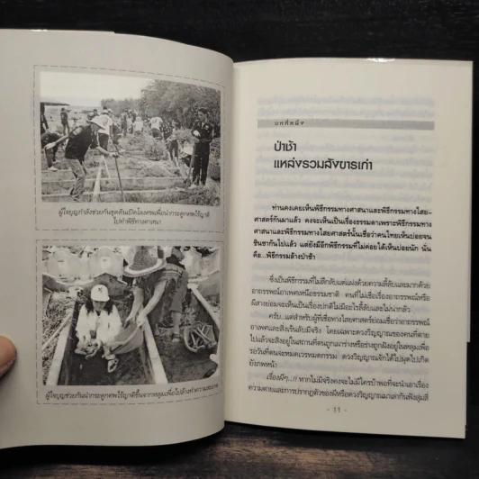 มหัศจรรย์วันล้างป่าช้า - ร่มฉัตร รูปที่ 7