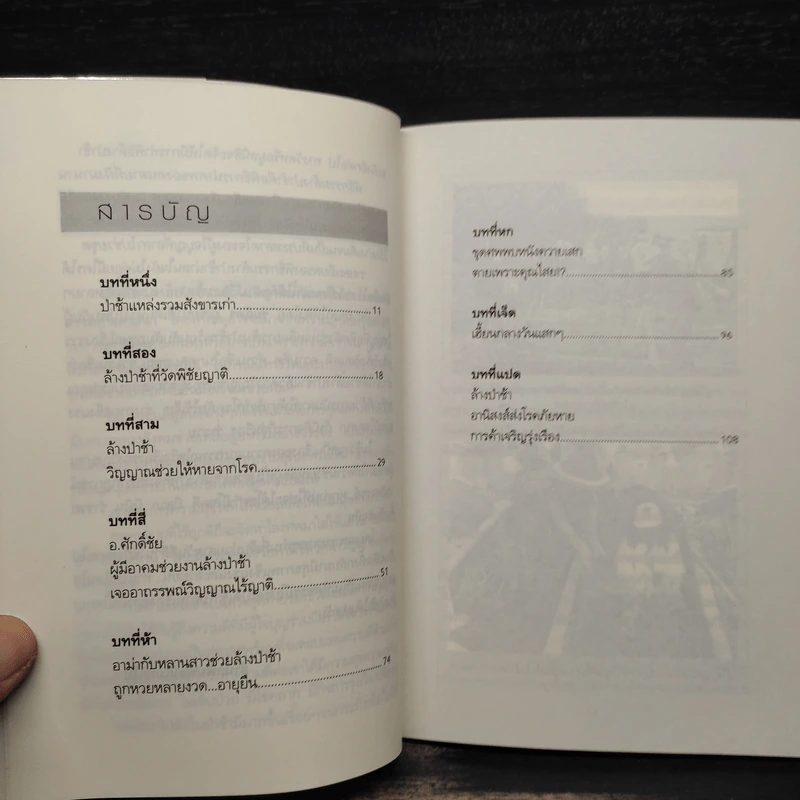 มหัศจรรย์วันล้างป่าช้า - ร่มฉัตร รูปที่ 6