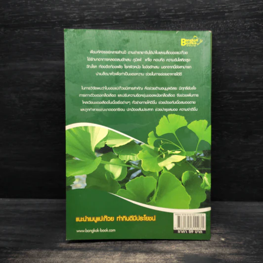 Ginkgo กิงโก ใบแปะก๊วย รวยสมอง เสริมความจำ - นพ.ปัญญา ไพศาลอนันต์ รูปที่ 2