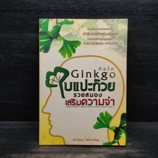Ginkgo กิงโก ใบแปะก๊วย รวยสมอง เสริมความจำ - นพ.ปัญญา ไพศาลอนันต์ รูปที่ 1