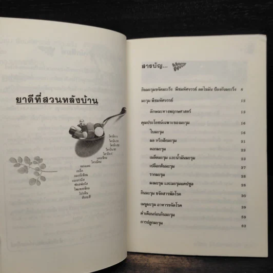 มะรุม พืชมหัศจรรย์ขจัดมะเร็ง รูปที่ 6