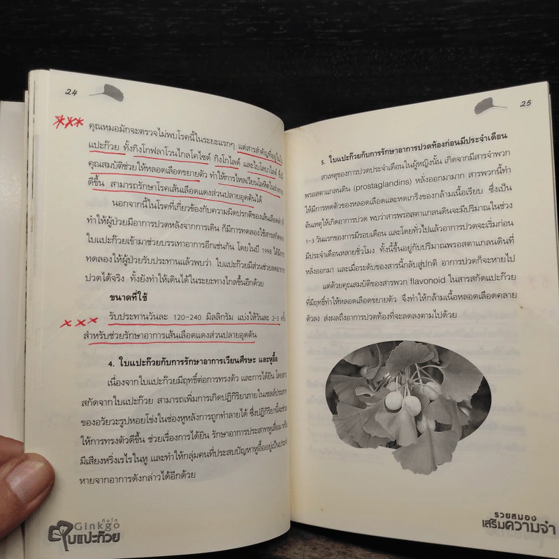 Ginkgo กิงโก ใบแปะก๊วย รวยสมอง เสริมความจำ - นพ.ปัญญา ไพศาลอนันต์ รูปที่ 8