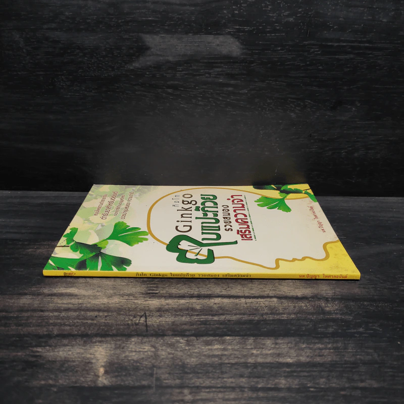 Ginkgo กิงโก ใบแปะก๊วย รวยสมอง เสริมความจำ - นพ.ปัญญา ไพศาลอนันต์ รูปที่ 3