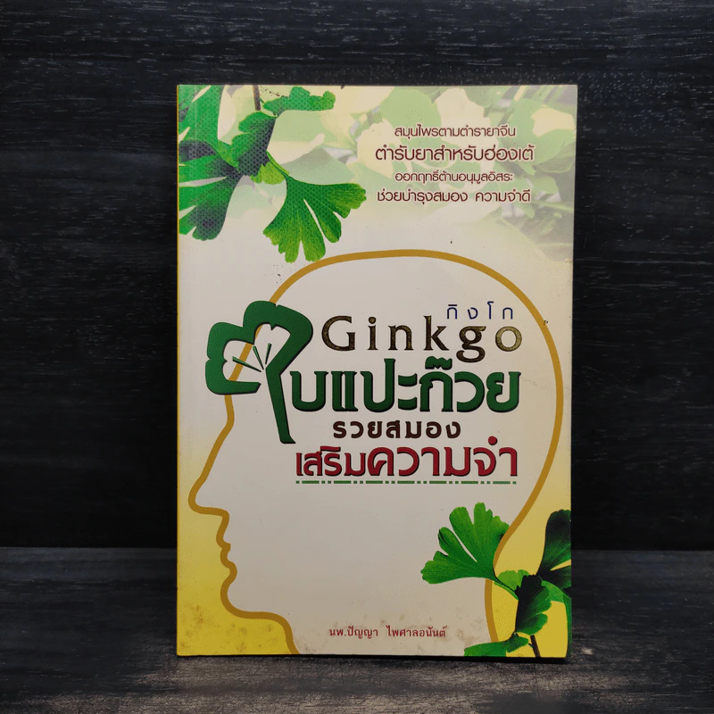 Ginkgo กิงโก ใบแปะก๊วย รวยสมอง เสริมความจำ - นพ.ปัญญา ไพศาลอนันต์ รูปที่ 1