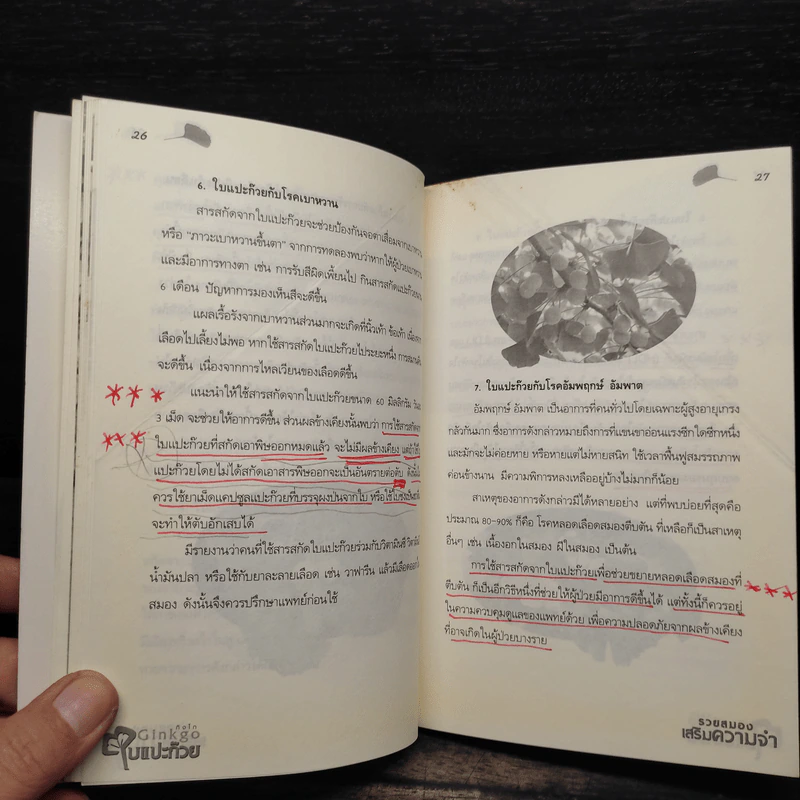 Ginkgo กิงโก ใบแปะก๊วย รวยสมอง เสริมความจำ - นพ.ปัญญา ไพศาลอนันต์ รูปที่ 9