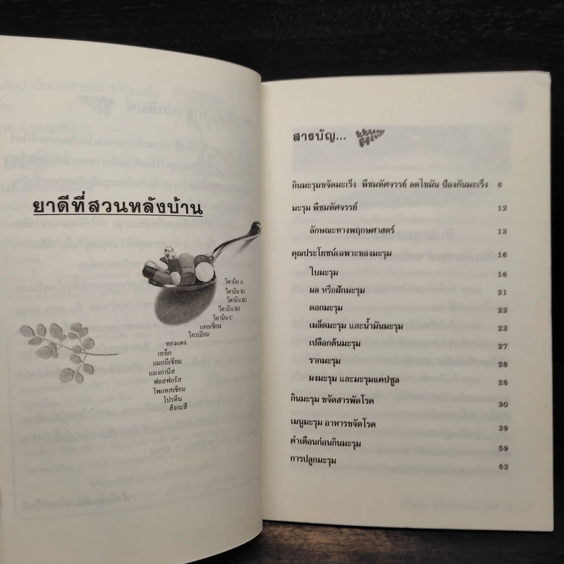 มะรุม พืชมหัศจรรย์ขจัดมะเร็ง รูปที่ 6