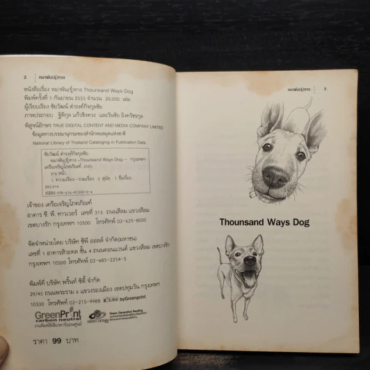 หมาพัน(ธุ์)ทาง 1,000 Ways Dog รูปที่ 5