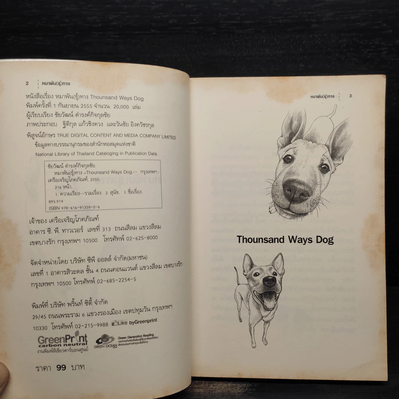 หมาพัน(ธุ์)ทาง 1,000 Ways Dog รูปที่ 5