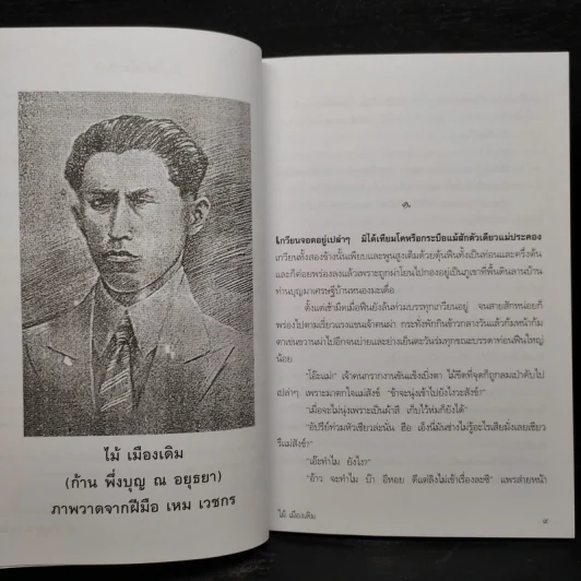 ข้าเก่า - ไม้ เมืองเดิม รูปที่ 6
