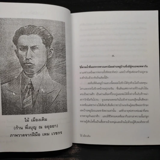 หมื่นซ่อง - ไม้ เมืองเดิม รูปที่ 6