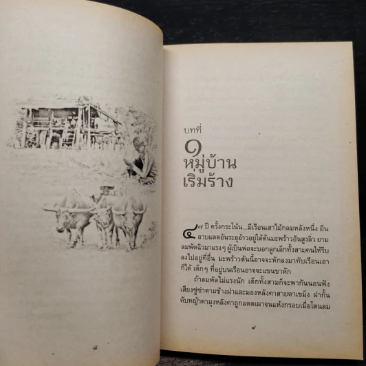 ลูกอีสาน ฉบับนักเรียน - คำพูน บุญทวี รูปที่ 6