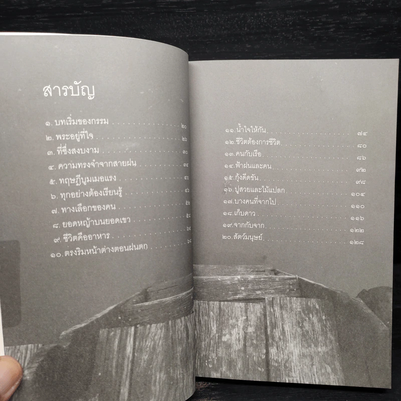 พอดีของชีวิต - ศิริพงษ์ จันทน์หอม รูปที่ 6