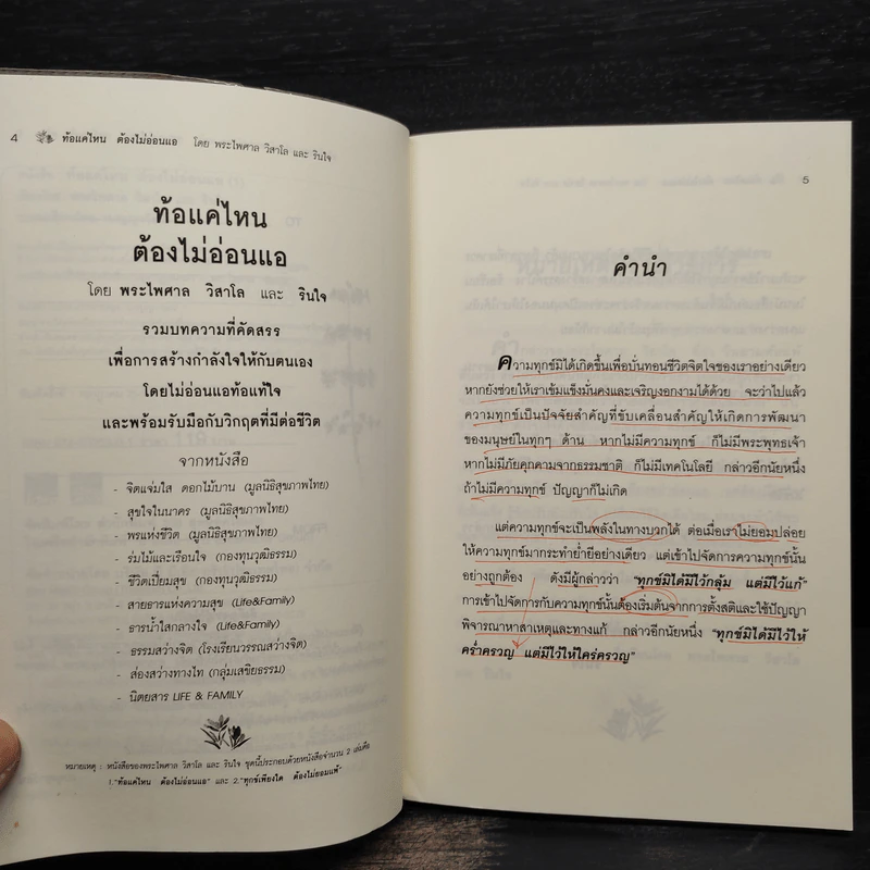 ท้อแค่ไหนต้องไม่อ่อนแอ - พระไพศาล วิสาโล รูปที่ 6