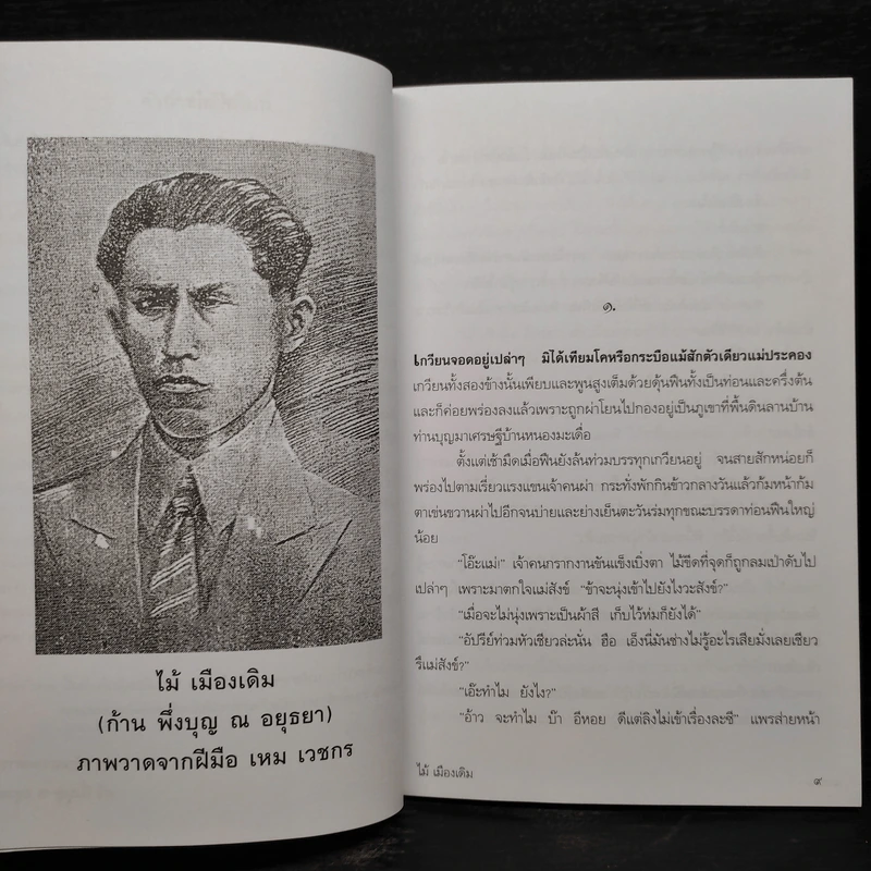 ข้าเก่า - ไม้ เมืองเดิม รูปที่ 6