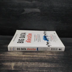 Big Data ดัดจริต - SETH STEPHENS-DAVIDOWITZ รูปที่ 3
