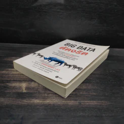 Big Data ดัดจริต - SETH STEPHENS-DAVIDOWITZ รูปที่ 4