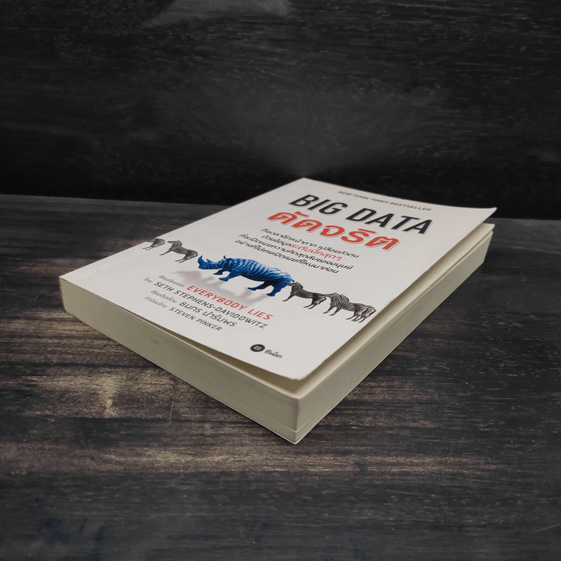 Big Data ดัดจริต - SETH STEPHENS-DAVIDOWITZ รูปที่ 4