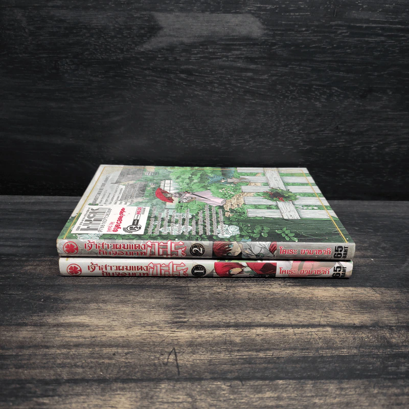เจ้าสาวผมแดงกับจอมเวทอสูร เล่ม 1-2 รูปที่ 3