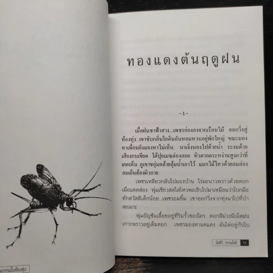 มหกรรมในท้องทุ่ง - อัศศิริ ธรรมโชติ รูปที่ 6