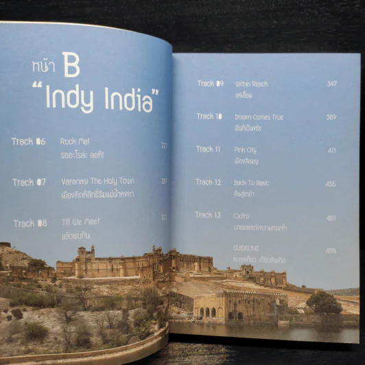 INDY INDIA สองเท้า-เกาโลก - ปองพล วาทะกุล รูปที่ 6