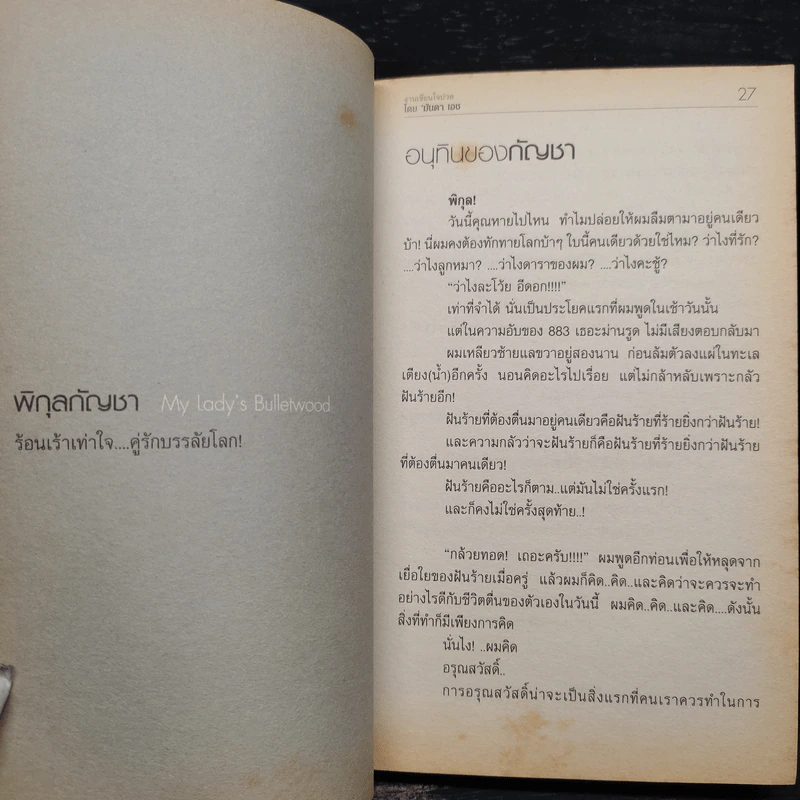 พิกุลกัญชา : My Lady's Bullet Wood - มันดา เอช รูปที่ 7