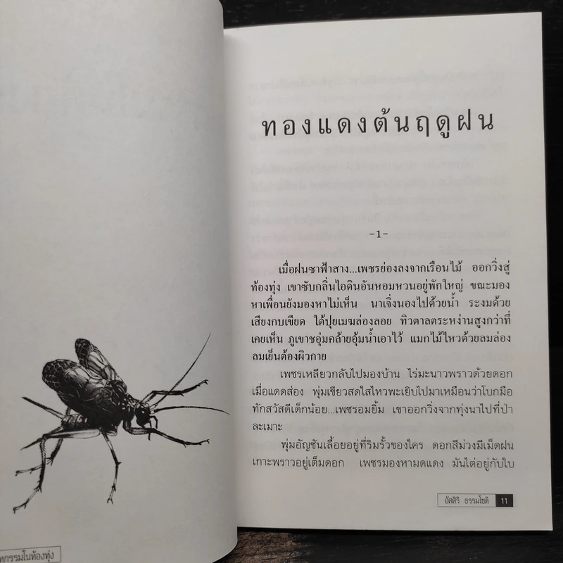 มหกรรมในท้องทุ่ง - อัศศิริ ธรรมโชติ รูปที่ 6