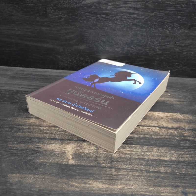 การเดินทางของเหล่ายูนิคอร์น The Journey of UNICORNS - วิลาส ฉ่ำเลิศวัฒน์ รูปที่ 4