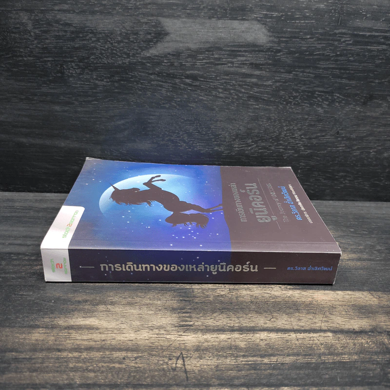 การเดินทางของเหล่ายูนิคอร์น The Journey of UNICORNS - วิลาส ฉ่ำเลิศวัฒน์ รูปที่ 3