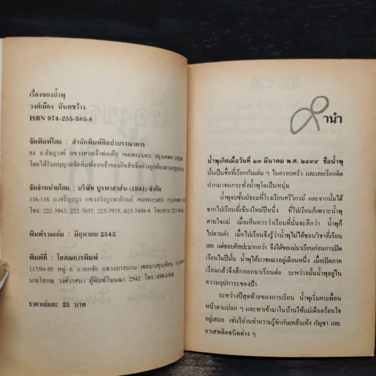 เรื่องของน้ำพุ - วงศ์เมือง นันทขว้าง รูปที่ 5