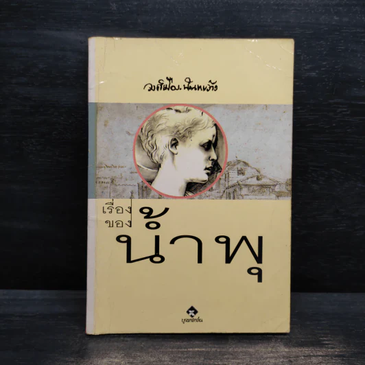 เรื่องของน้ำพุ - วงศ์เมือง นันทขว้าง รูปที่ 1