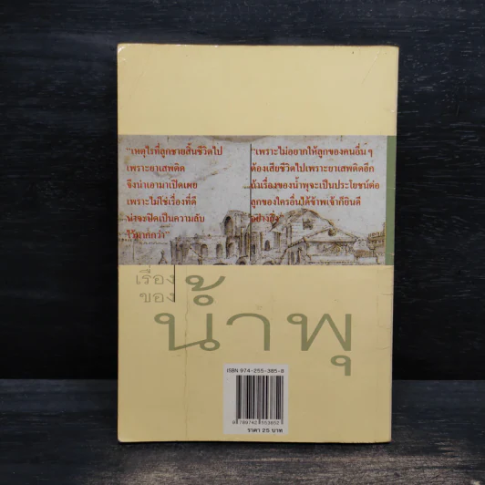 เรื่องของน้ำพุ - วงศ์เมือง นันทขว้าง รูปที่ 2