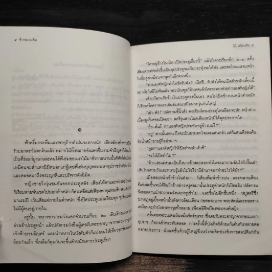ข้าหลวงเดิม - ไม้ เมืองเดิม รูปที่ 6