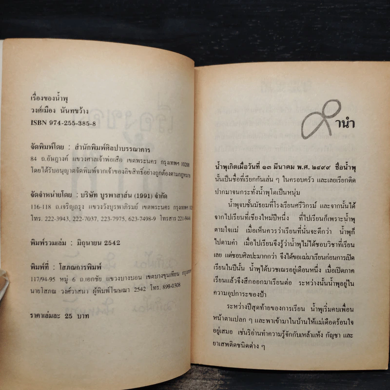 เรื่องของน้ำพุ - วงศ์เมือง นันทขว้าง รูปที่ 5
