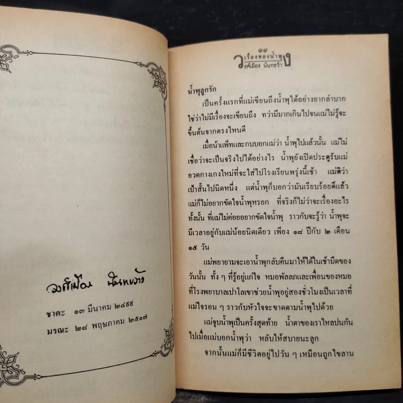 เรื่องของน้ำพุ - วงศ์เมือง นันทขว้าง รูปที่ 6