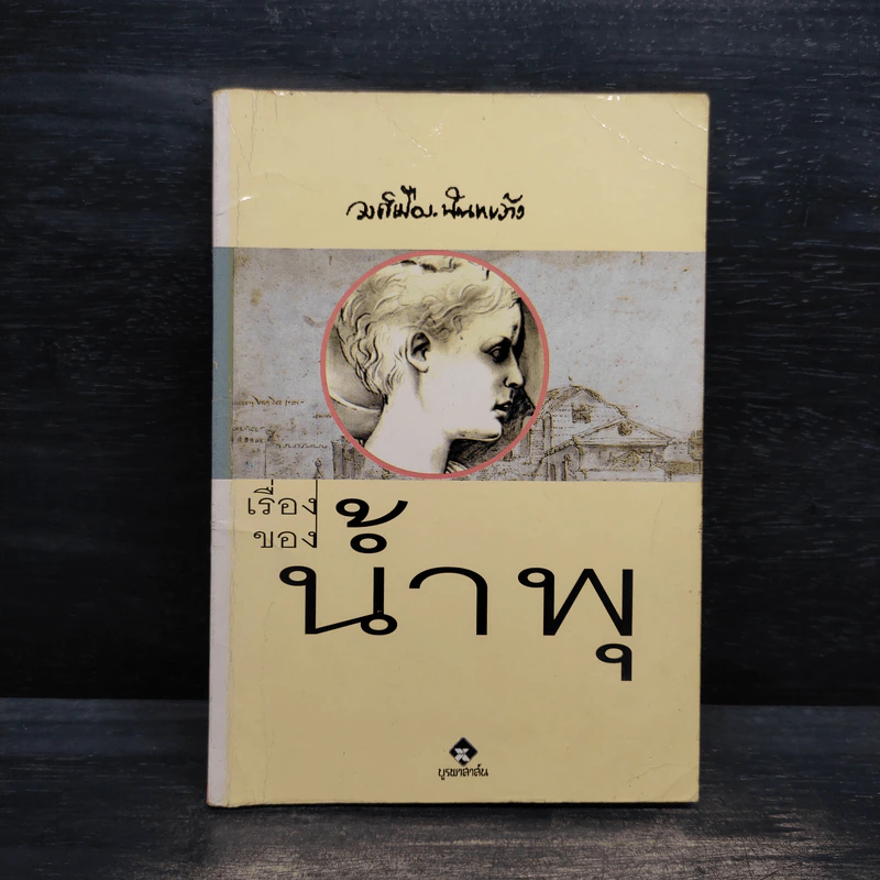 เรื่องของน้ำพุ - วงศ์เมือง นันทขว้าง รูปที่ 1